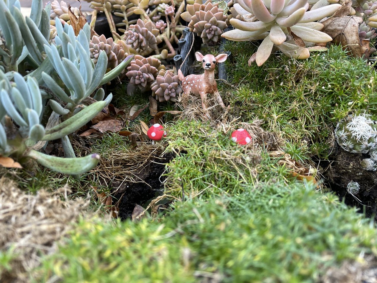 iPhone 12 vs. iPhone 11 - iPhone 12 camera sample