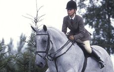 Louise Bell riding Rockey IV