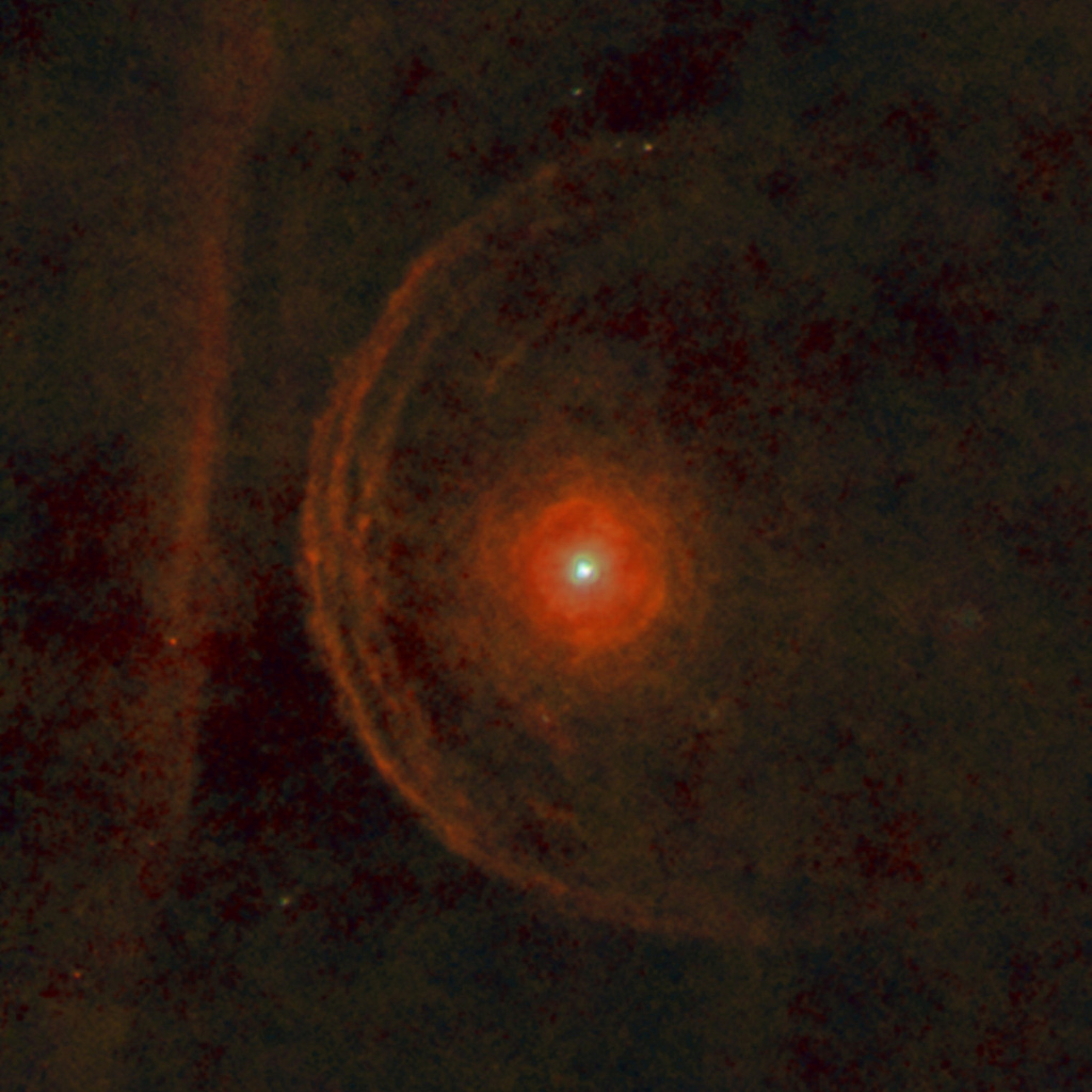 the star betelgeuse is located where