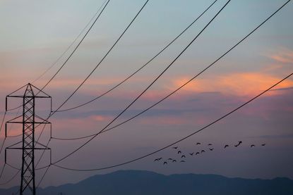 Electrical lines above the LA River.