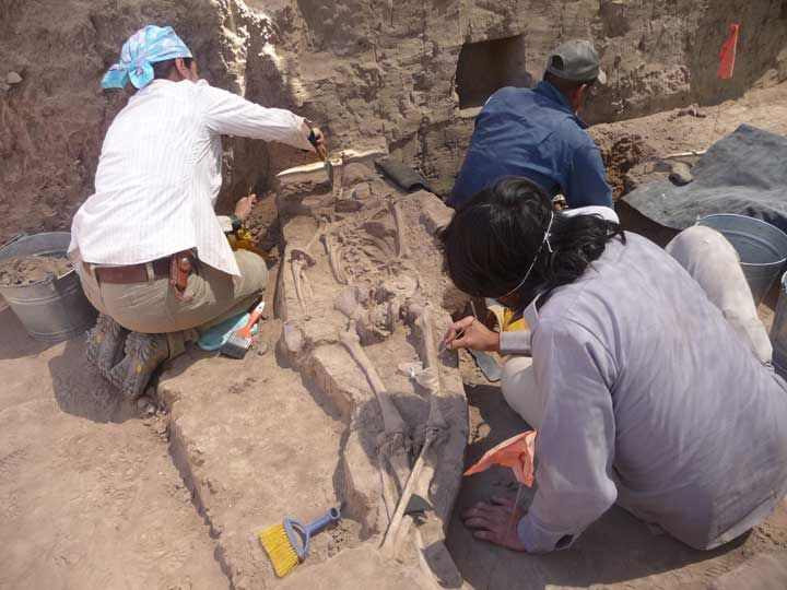 In Photos: 'Alien' Skulls Reveal Odd, Ancient Tradition | Live Science