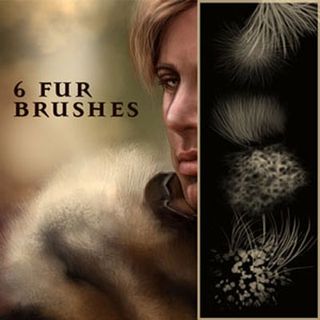 Photoshop brushes: fur brush set