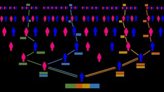family tree diagram shows how a living person only inherits a fraction of all their ancestors' DNA