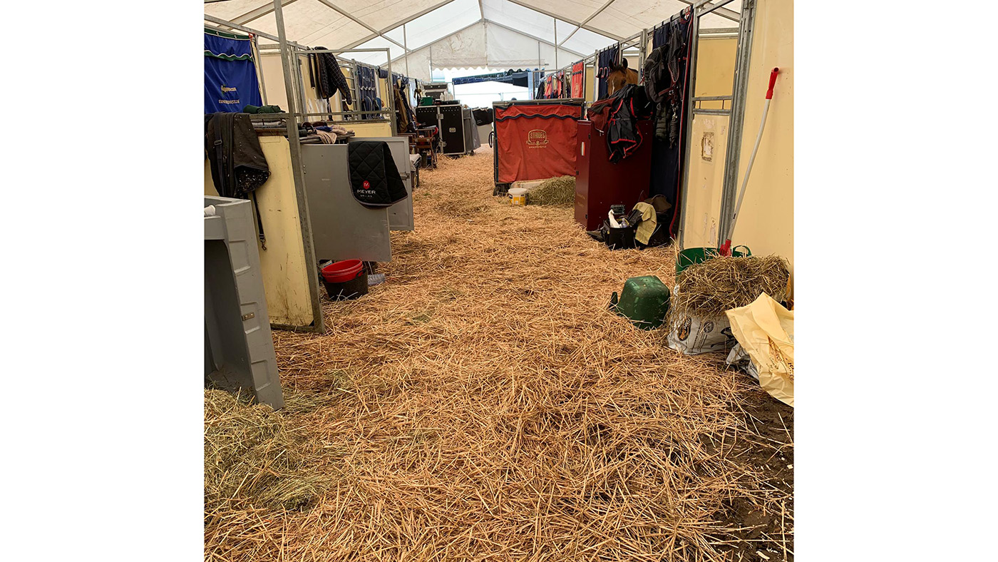 Bolesworth, Camilla 8