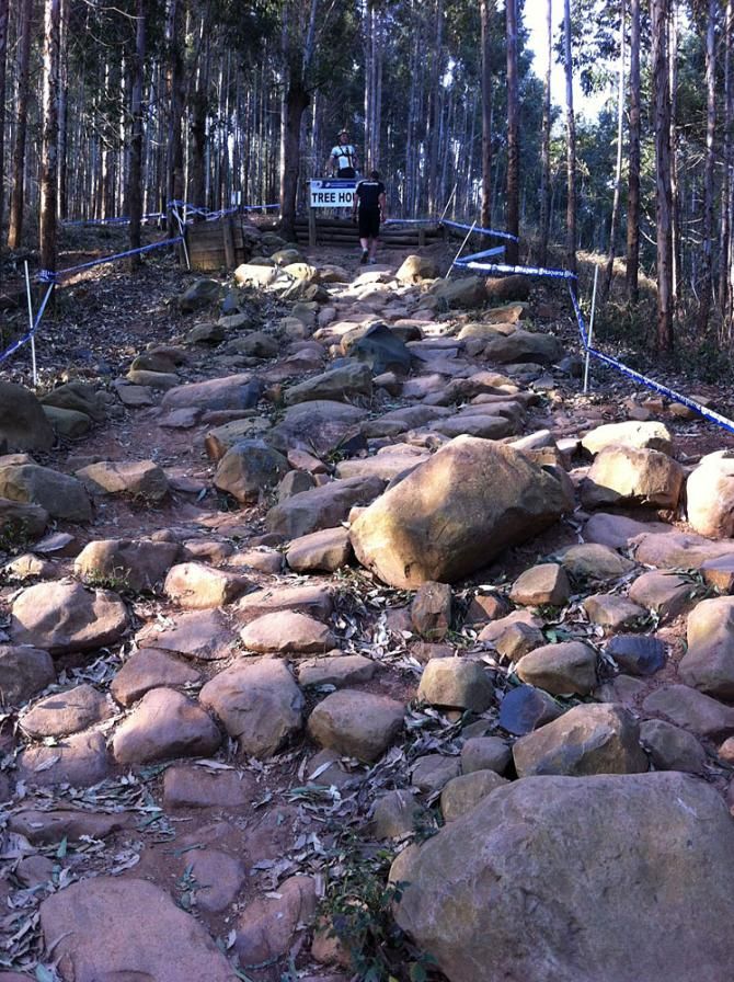 The Treehouse is a famous rock garden section on the cross country course.