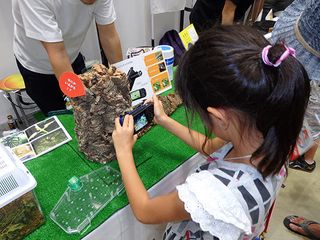 The 'anteater' lens enables the camera to peek into holes and crevices to photograph insects