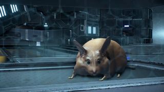 Mass Effect Space Hamster