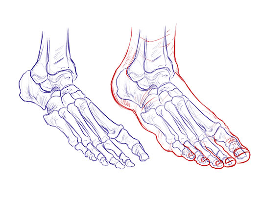 How to draw feet