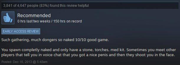 The most baffling Steam reviews | PC Gamer