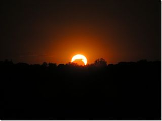 Partial Solar Eclipse photo by Sam Border from Blue Grass, Iowa on May 20, 2012