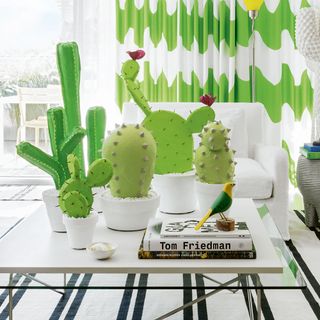 cactus plant with pot white table and book