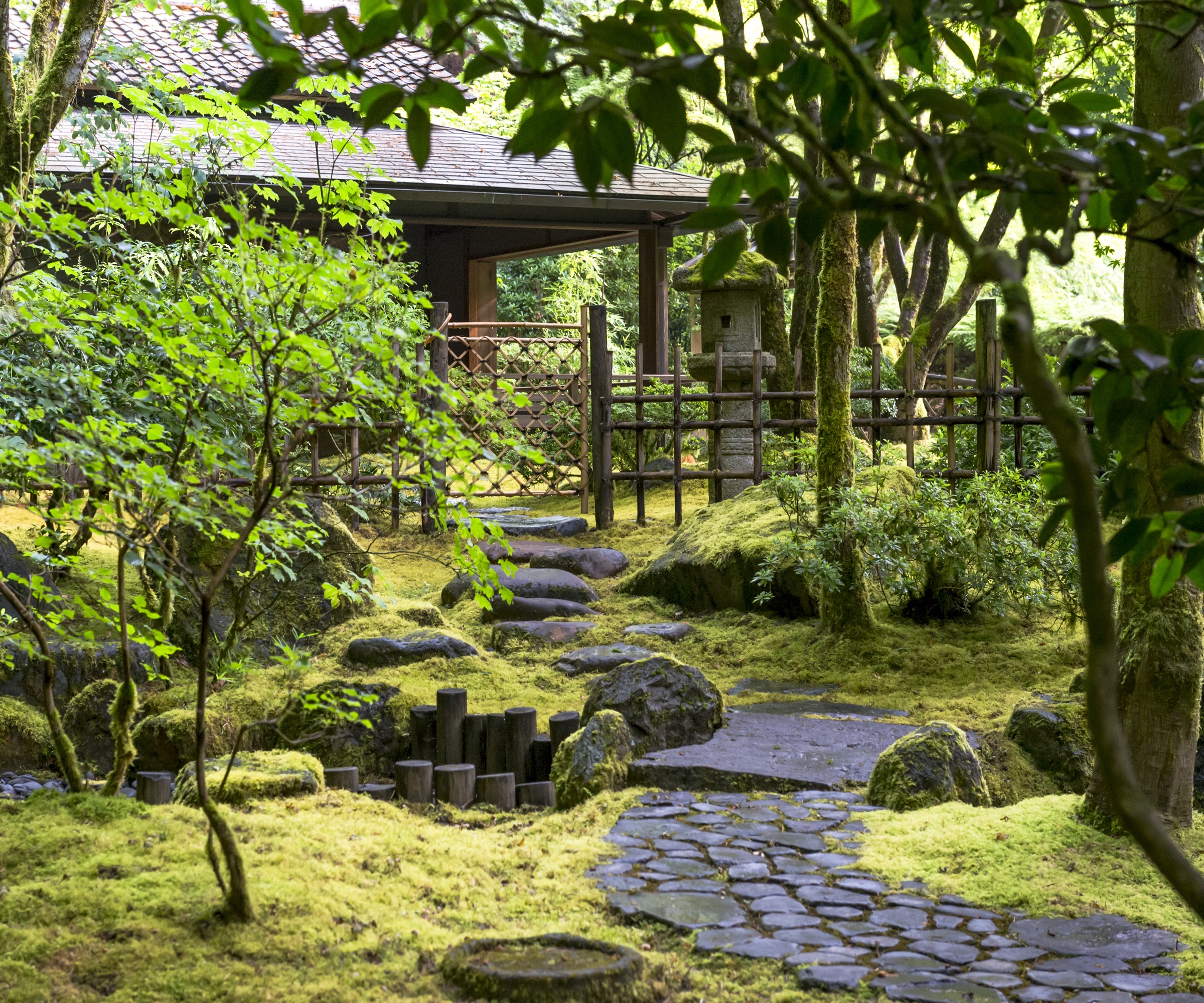 Moss, Japanese garden, Japanese Tea House, Path