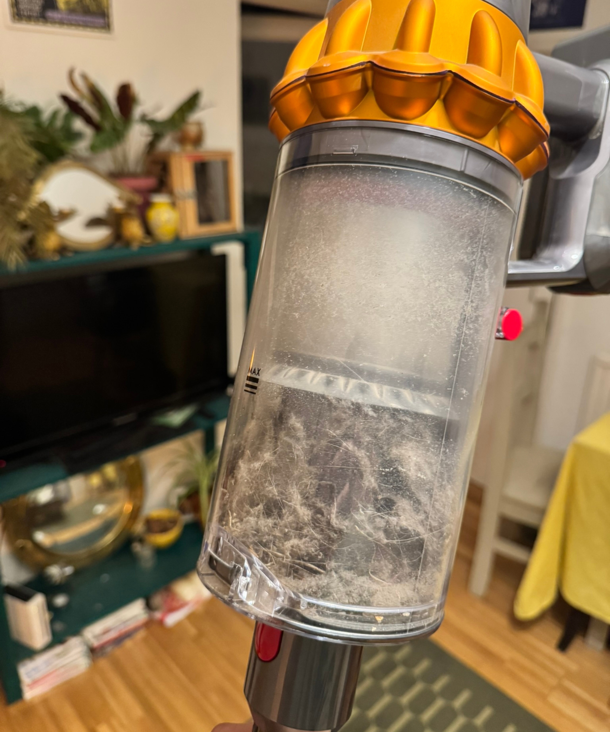 Dyson V15 Detect with dustbin full of dust, pictured in front of blurred-out, busy living room with green TV stand and various plants and ornaments.
