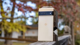 Google's Pixel 6 Pro on a fence with Autumn trees in the background