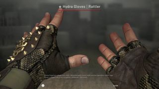 best csgo skins gloves hydra