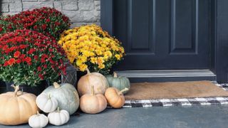 Pastel pumpkins outside door