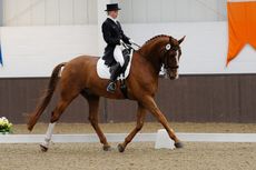 Sophie-Wells-dressage.jpg