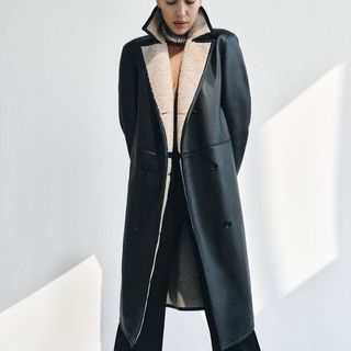 Zara coat