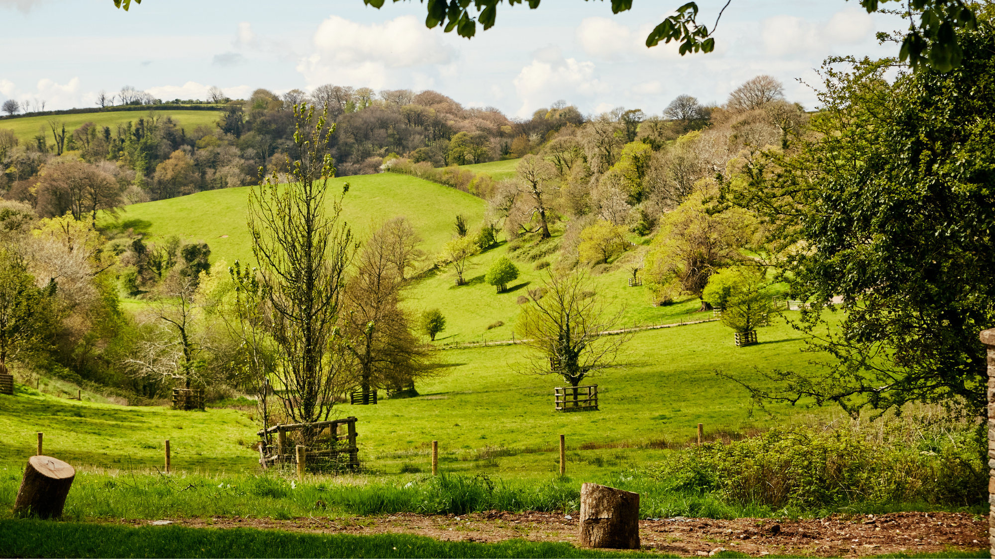 The countryside at Fowlescombe Farm
