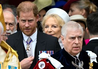 Prince Harry standing behind Prince Andrew, both wearing black coats with medals on them