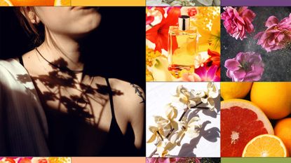 A montage of images is energetic, colourful and brooding, and includes a woman covered with shadows of flower silhouettes, various crops of bright coloured flowers like roses and tuberose, with fragrance bottles surrounded by scattered flowers and a close up of citrus fruits, all a visual representation of various perfume notes typically included in fragrance