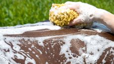 How to bath a horse