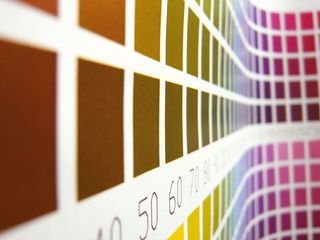 Colour management: Pantone swatches