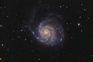 A photo of the Pinwheel Galaxy taken at Chris' observatory.