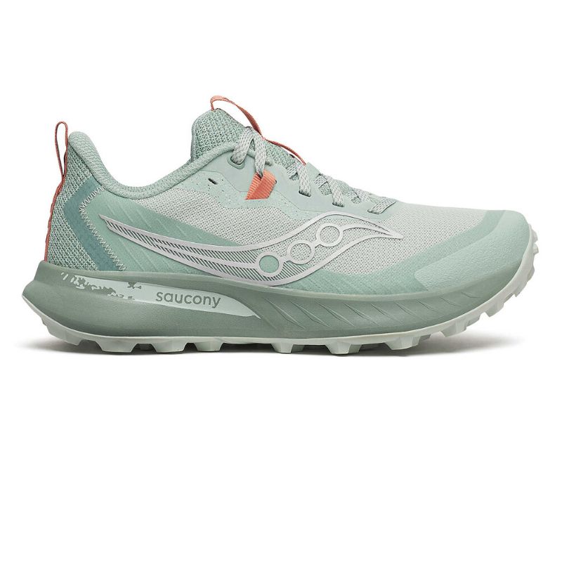 Saucony Peregrine 15