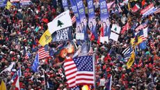 "Appeal to Heaven" flag flying amid U.S. and Trump flags at U.S. Capitol on Jan. 6, 2021