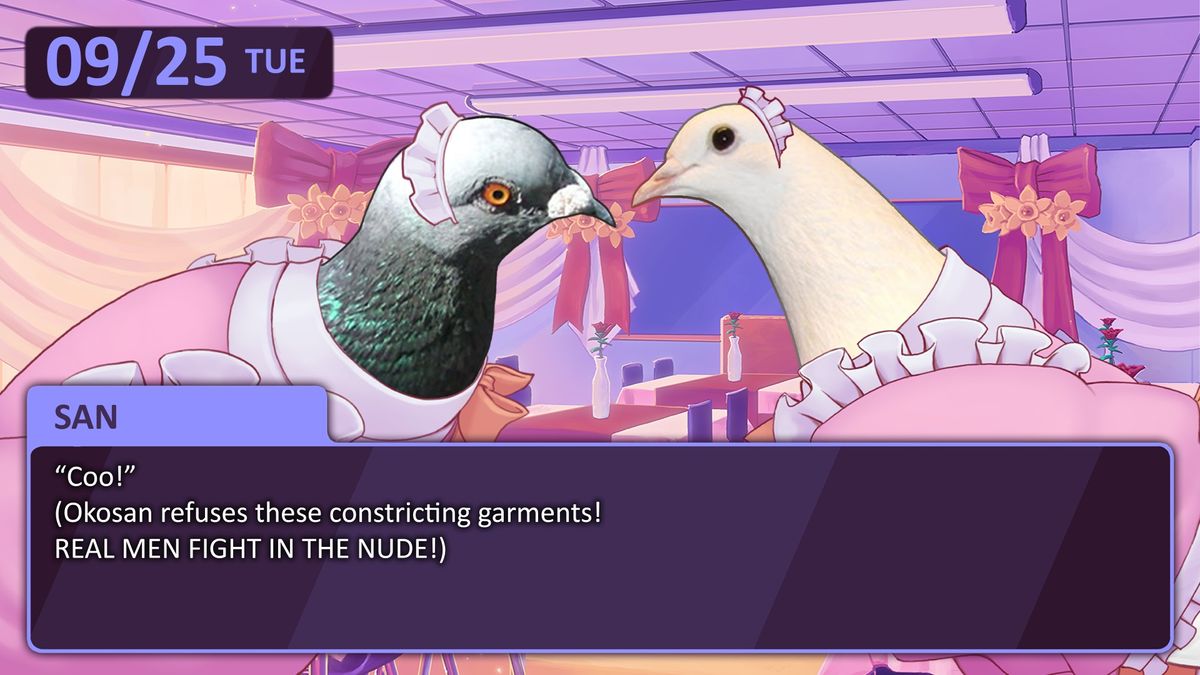 Hatoful Boyfriend, the pigeon dating sim, is coming this summer | PC Gamer