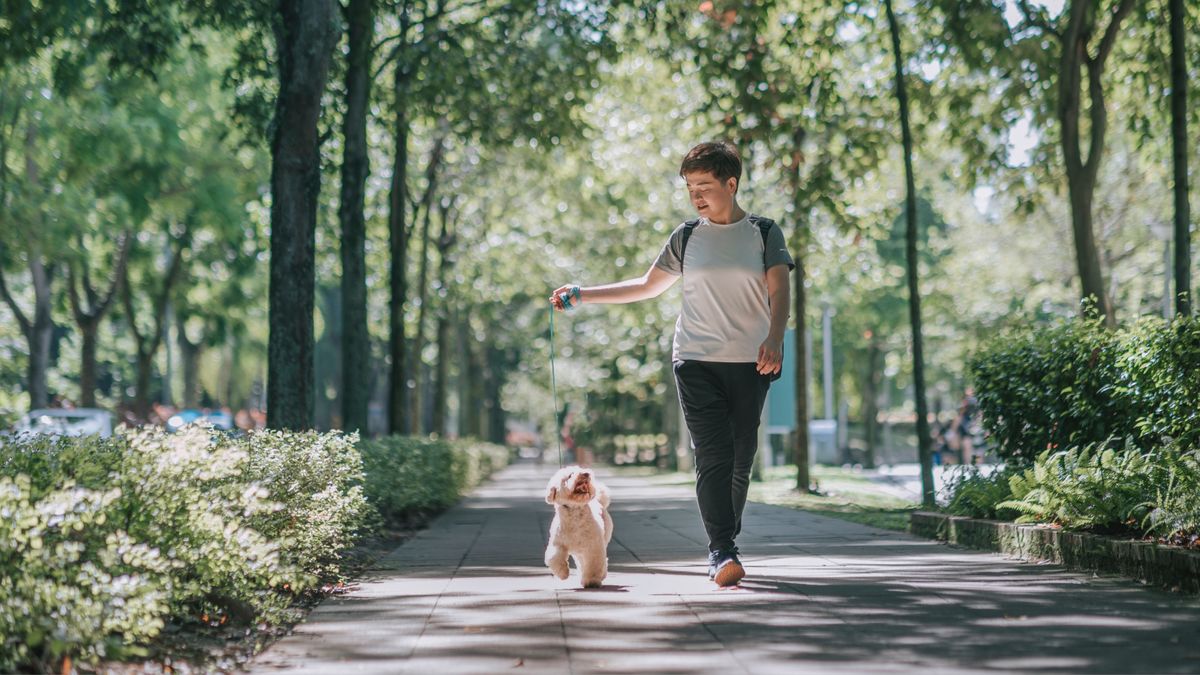 Man walking his dog