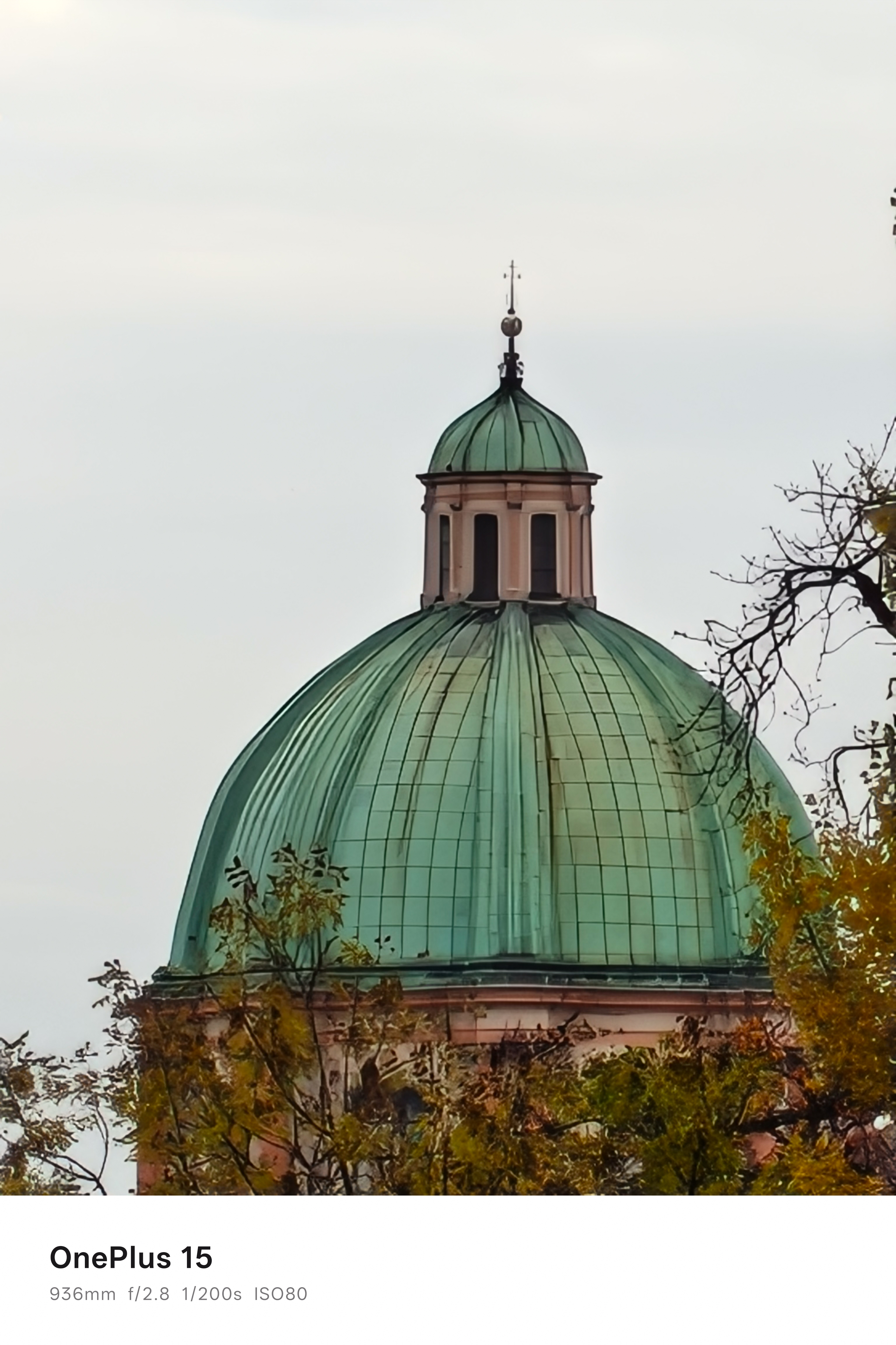 The roof of a church seen from a distance behind some trees and enhanced by AI
