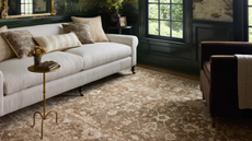 a cozy living room with a large area rug, a cream couch, a small drink table, and dark blue painted walls