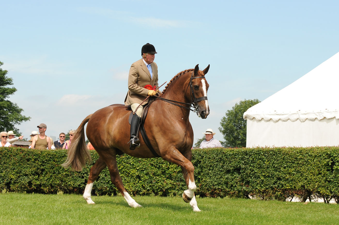 LINCOLNSHIRE SHOW 2010
