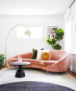 Curved sofa in coral velvet, black round sculptural coffee table, large curved brass floor lamp, and house plants.
