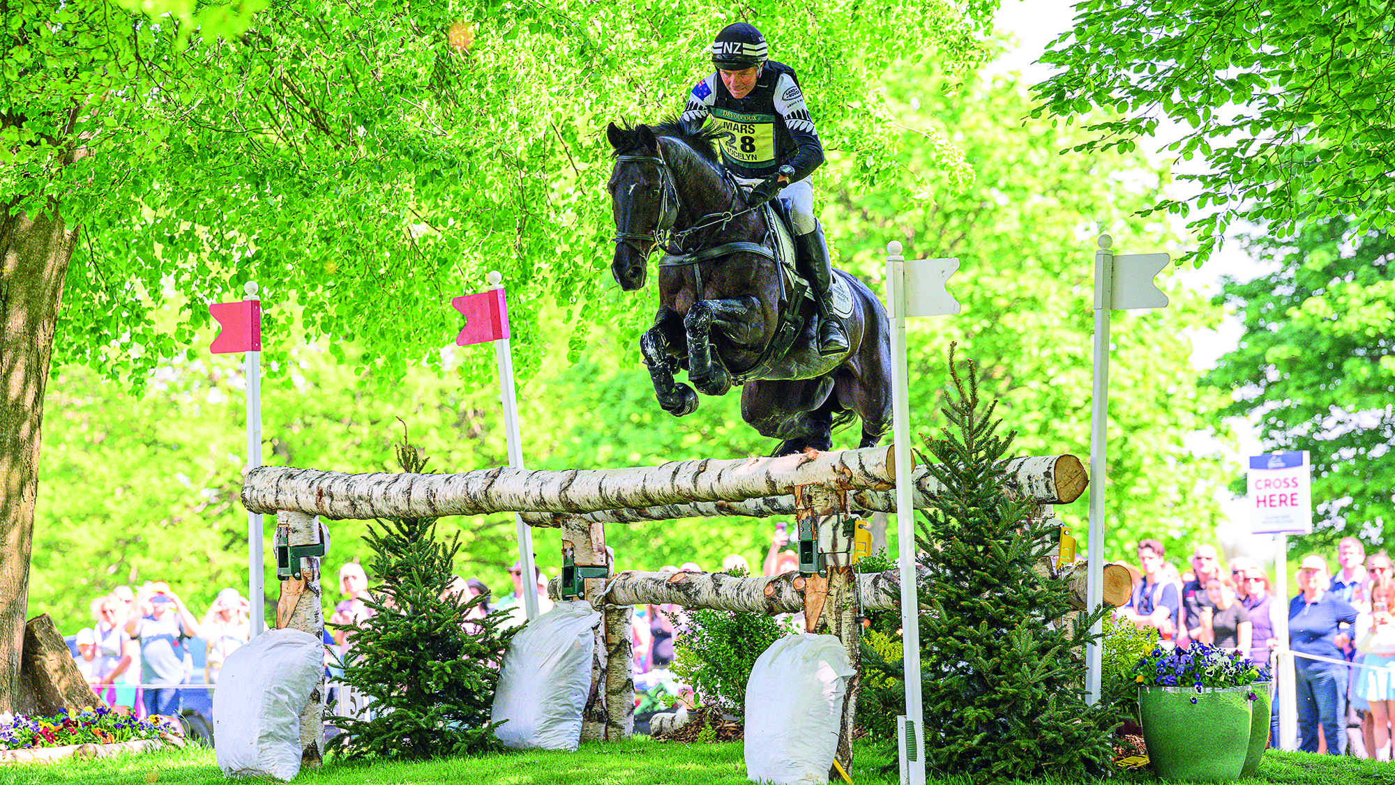 Dan Jocelyn, a rider in black and white colours, rides a dark bay horse over a jump made of silver birch logs at Badminton 2025