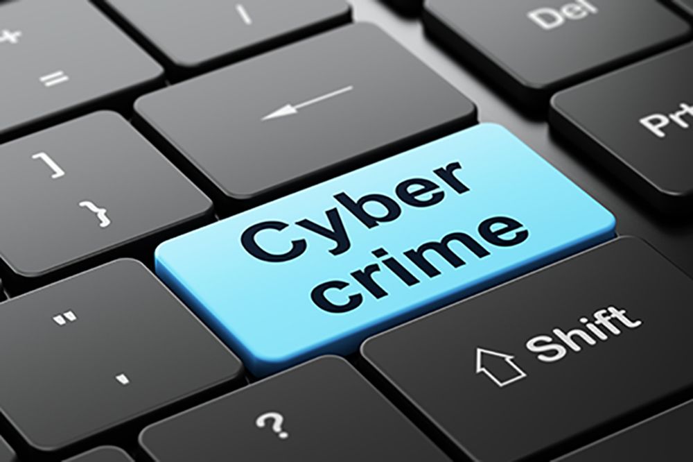 cyber crime in punjab