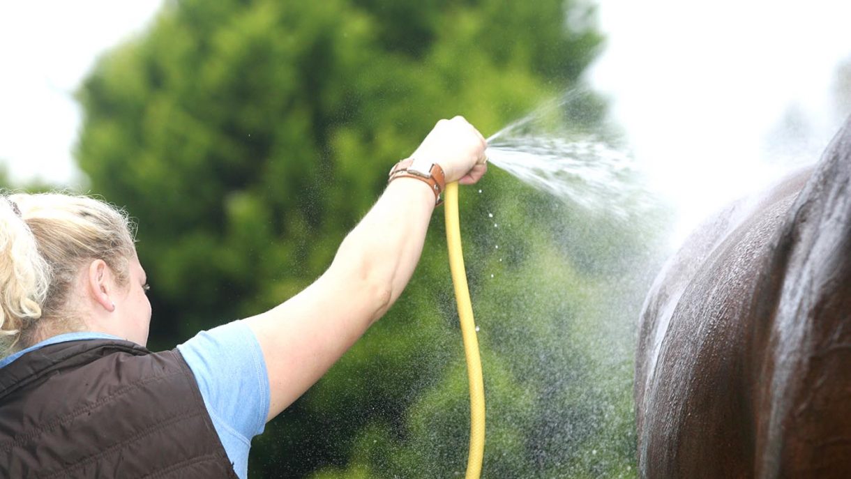 hosing-down-1220x687-1.jpg