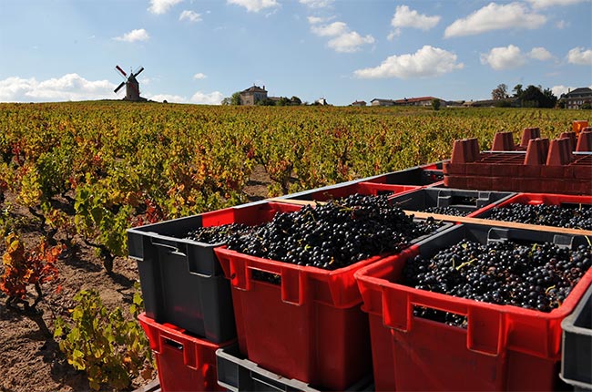 Domaine Labruy&amp;egrave;re