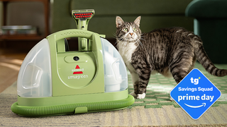 Bissell Little Green Multi-Purpose Carpet Cleaner deal post