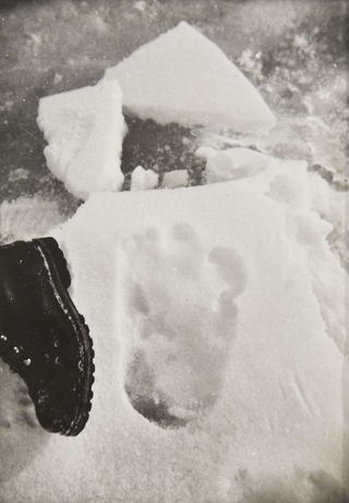A boot is compared to the alleged yeti track.