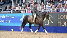2023 BSPS M&M supreme ridden