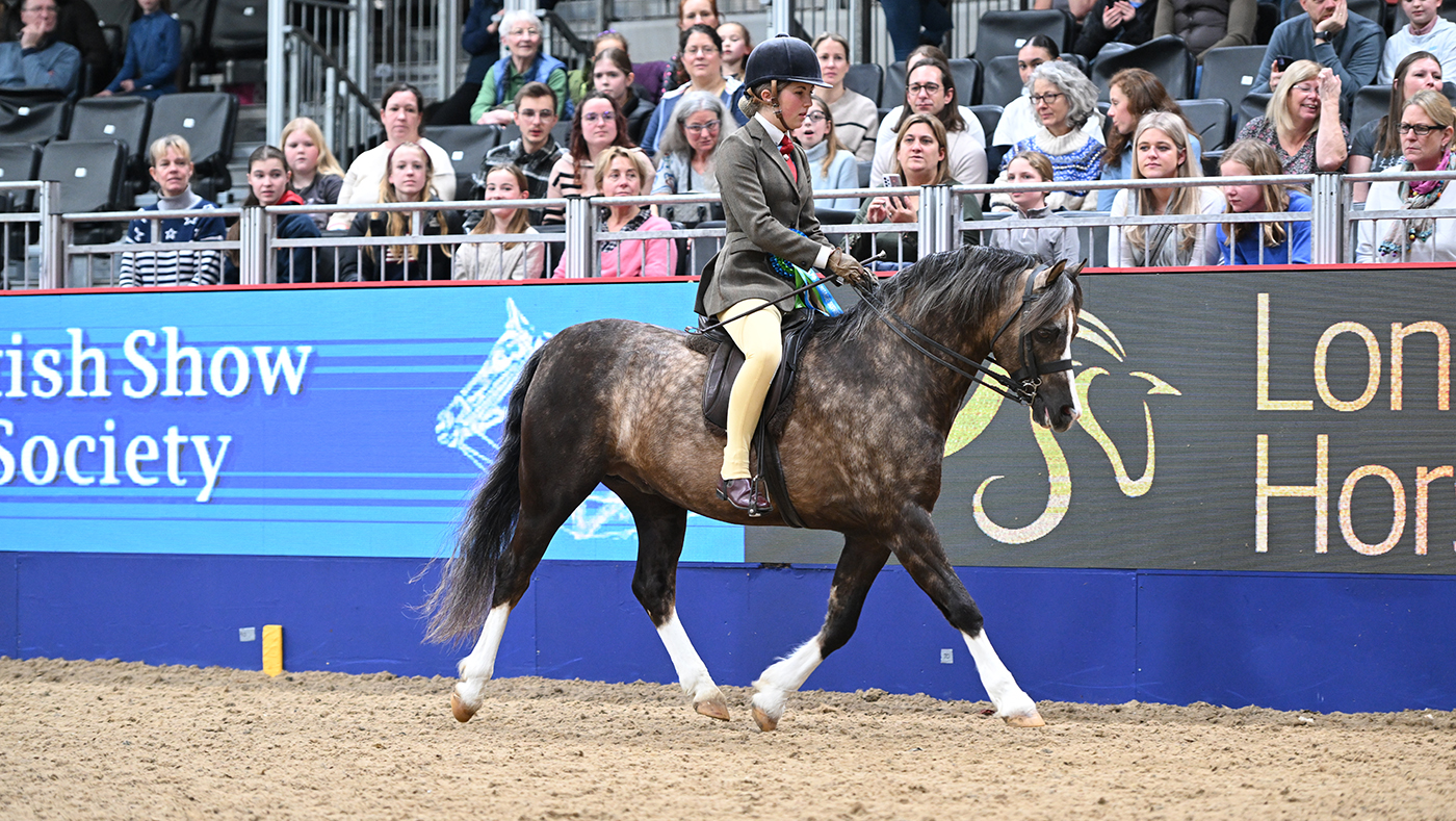 2023 BSPS M&amp;amp;M supreme ridden