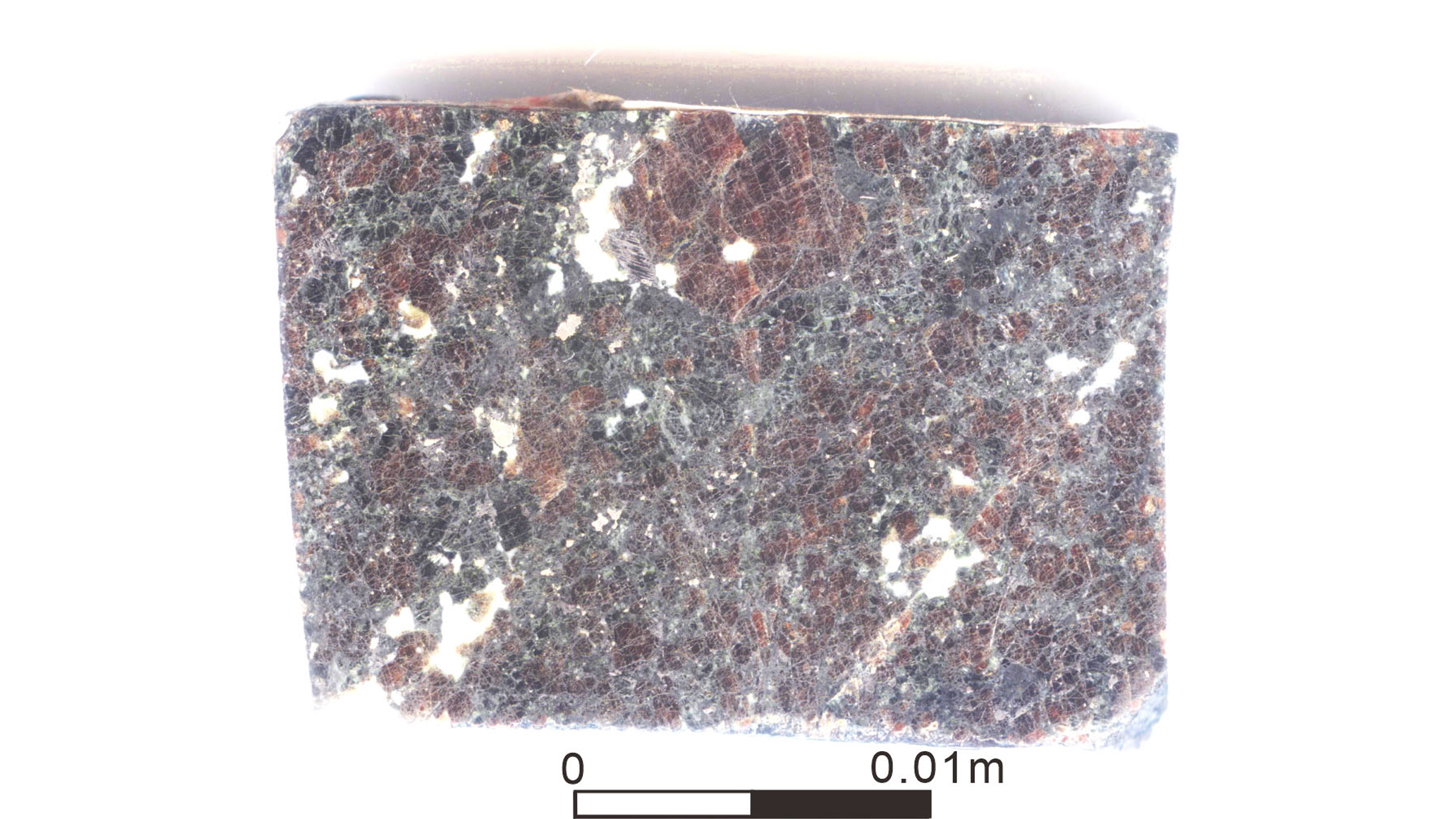 A slab of Archean eclogite with red garnet and green pyroxene from Shangying, China.