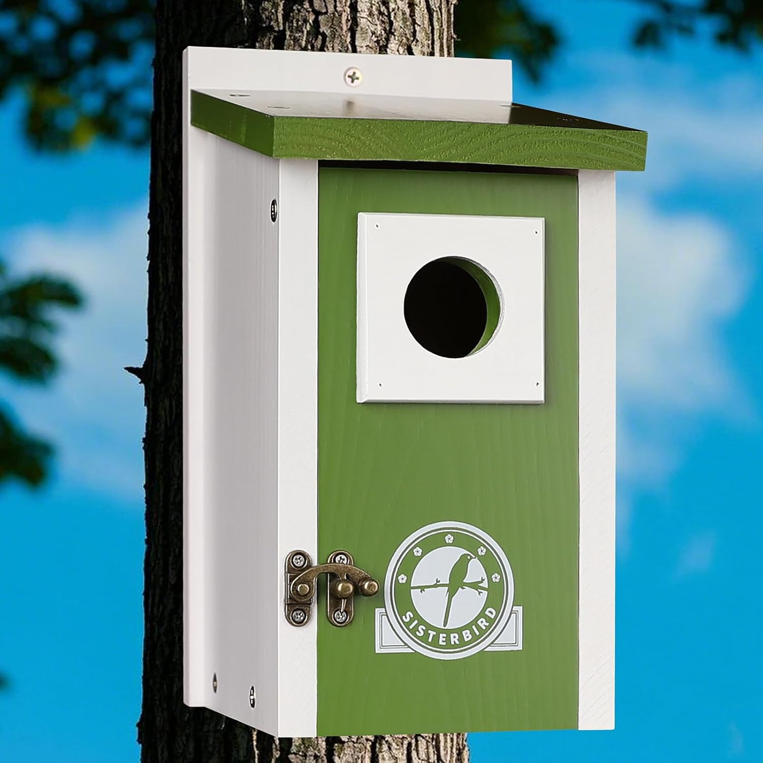 Sisterbird Bird Houses for Outside, Lime Green Bird House, Bluebird Houses for Outside, Garden Decoration Birdhouses for Outdoors, Bluebird Finch Swallow Wren Chickadee