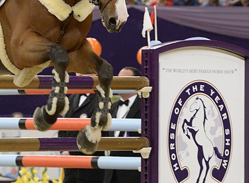 A jump at HOYS