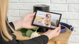 Pet owner holding frame showing deceased dog, an example of how to cope with the loss of a pet