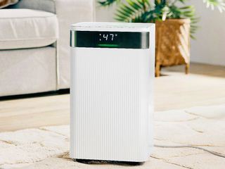 Kalorik dehumidifier in a living room setting
