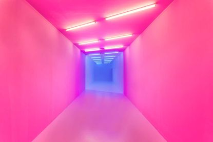 pink-blue corridor